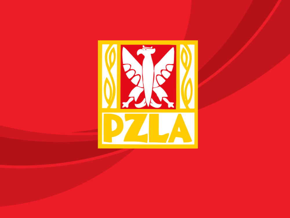 Lisek w domu. Mityng Skoku o Tyczce w Dusznikach 2024