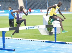 02/06/2014, 14. Europejski Festiwal Lekkoatletyczny, Bydgoszcz obrazek 15