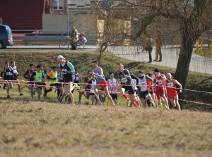 Mistrzostwa Polski w Biegach Przełajowych Iława 2015 obrazek 3