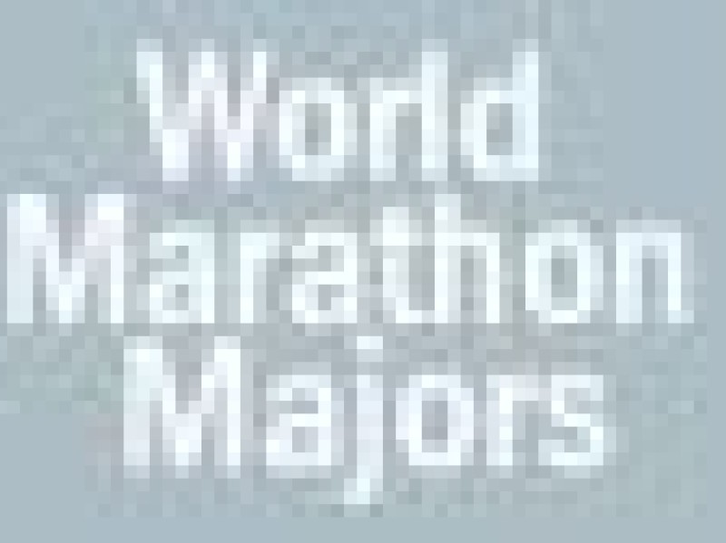 World Marathon Majors 2012-2013