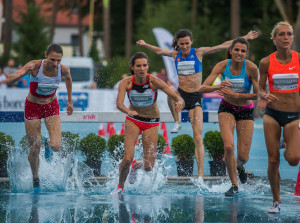 BESTSELLER Goleniów Athletics Park obrazek 21