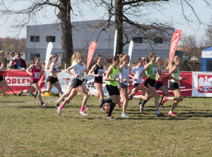 91. PZLA Mistrzostwa Polski w Biegach Przełajowych (U18, U20, S) obrazek 22