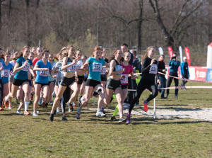 91. PZLA Mistrzostwa Polski w Biegach Przełajowych (U18, U20, S) obrazek 3