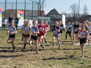 91. PZLA Mistrzostwa Polski w Biegach Przełajowych (U18, U20, S) obrazek 15