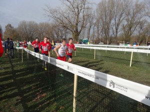 20. Mistrzostwa Europy w Biegach Przełajowych, Belgrad 8.12.20 obrazek 5