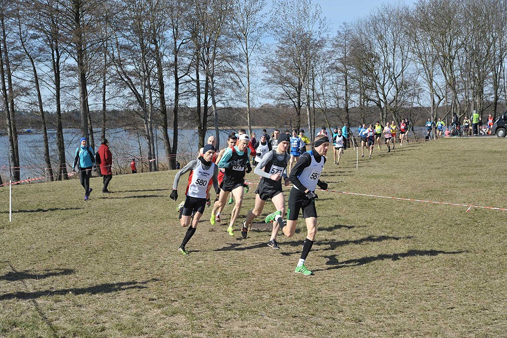 Mistrzostwa Polski w Biegach Przełajowych Iława 2015 obrazek 14