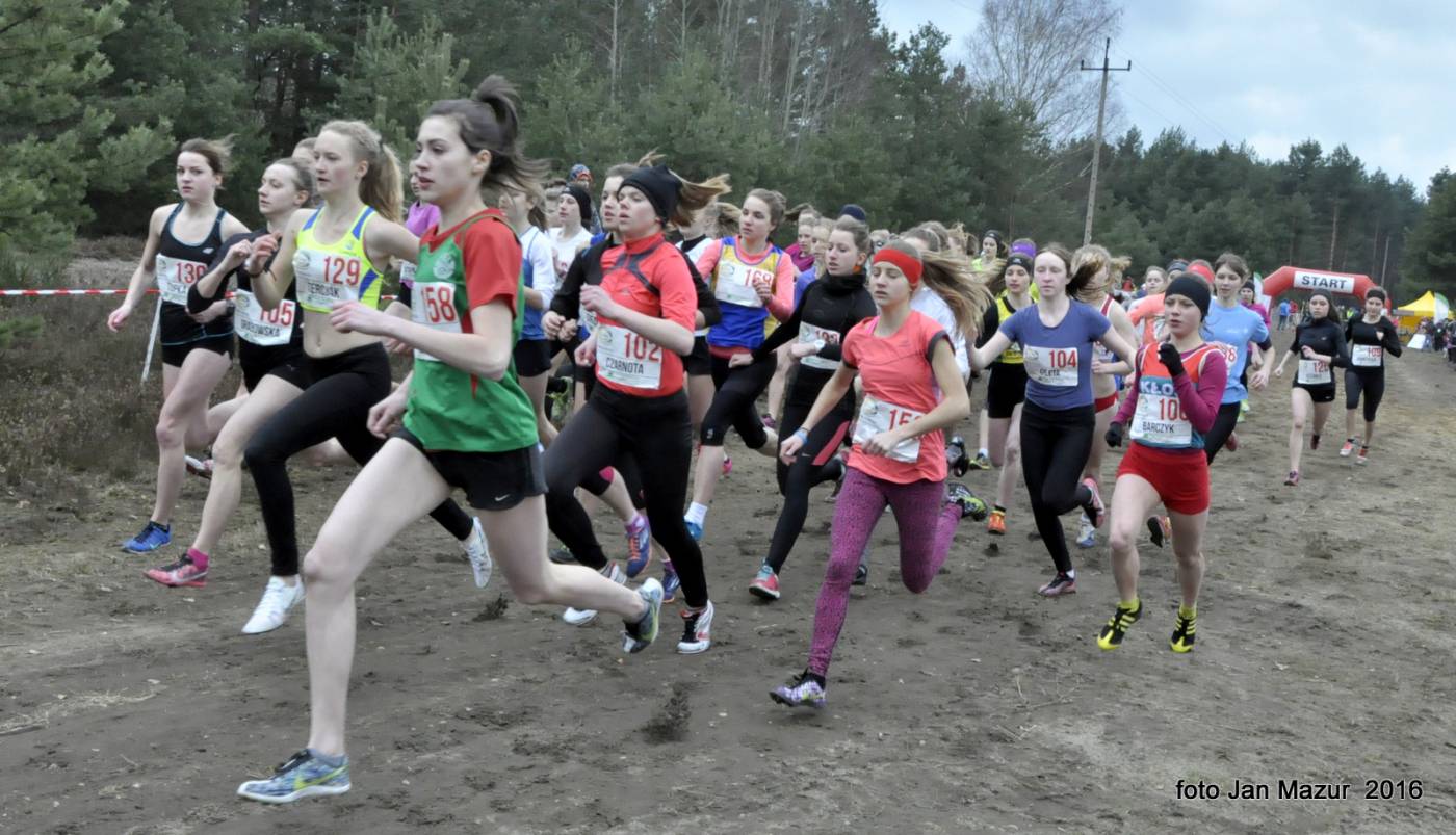 Mistrzostwa Polski w Biegach Przełajowych 2016 - I dzień obrazek 9