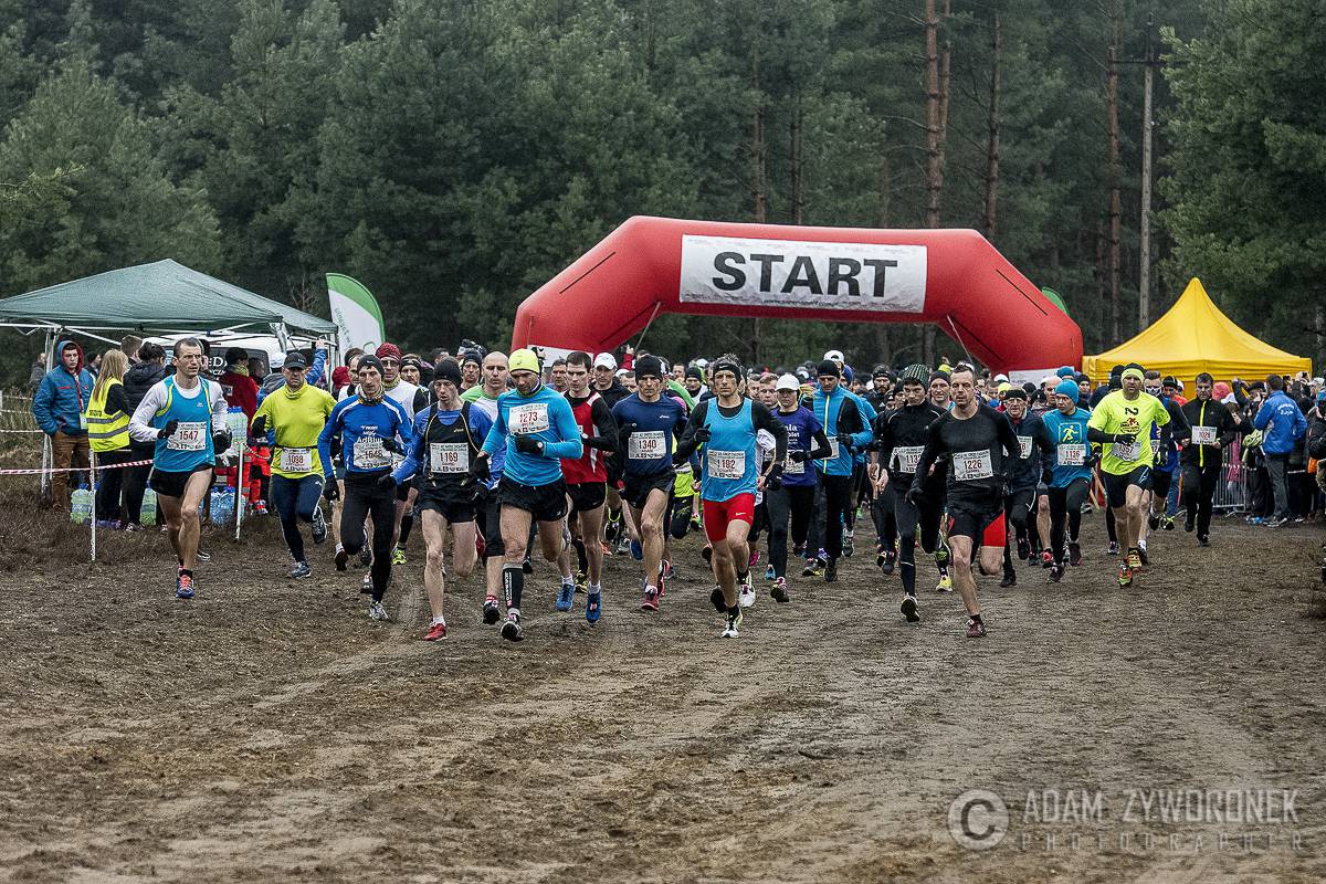 Mistrzostwa Polski w Biegach Przełajowych 2016 - II dzień obrazek 5