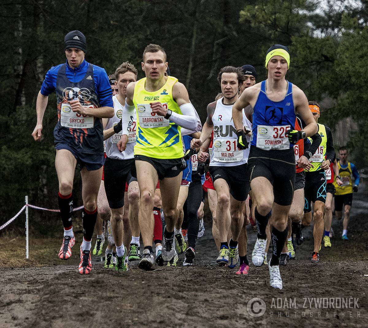 Mistrzostwa Polski w Biegach Przełajowych 2016 - II dzień obrazek 8