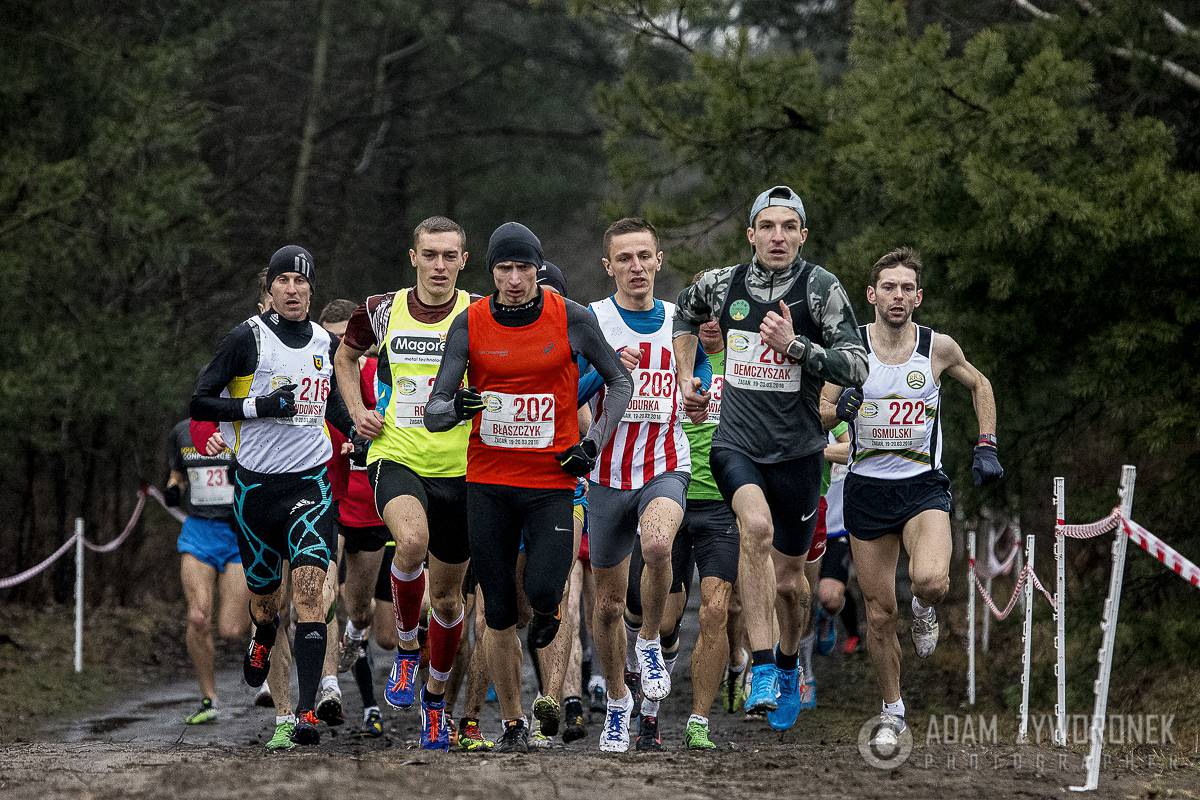 Mistrzostwa Polski w Biegach Przełajowych 2016 - II dzień obrazek 11