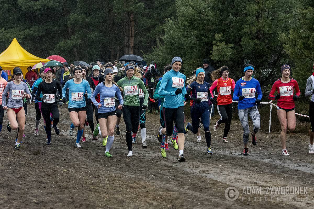 Mistrzostwa Polski w Biegach Przełajowych 2016 - II dzień obrazek 13