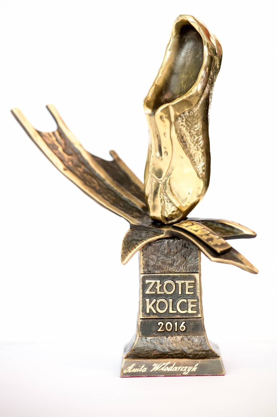 Złote Kolce 2016 obrazek 7