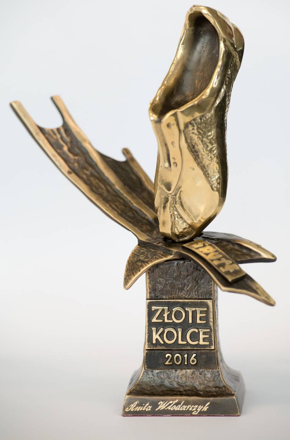 Złote Kolce 2016 obrazek 8