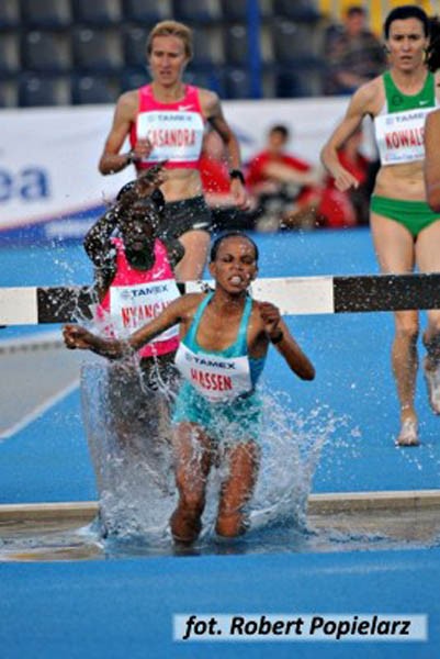 Enea Cup Bydgoszcz 2009 obrazek 13